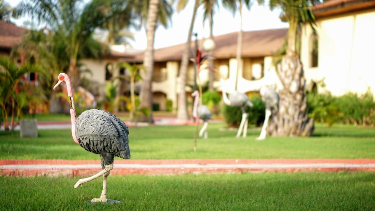 Ocean Bay Hotel & Resort Bakau Экстерьер фото